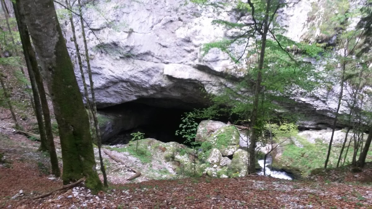 Foto von Cascada Evantai