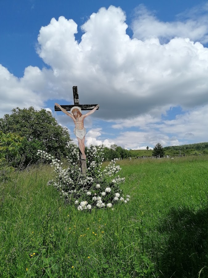 Foto von Biserica de lemn din Copăceni, Bihor