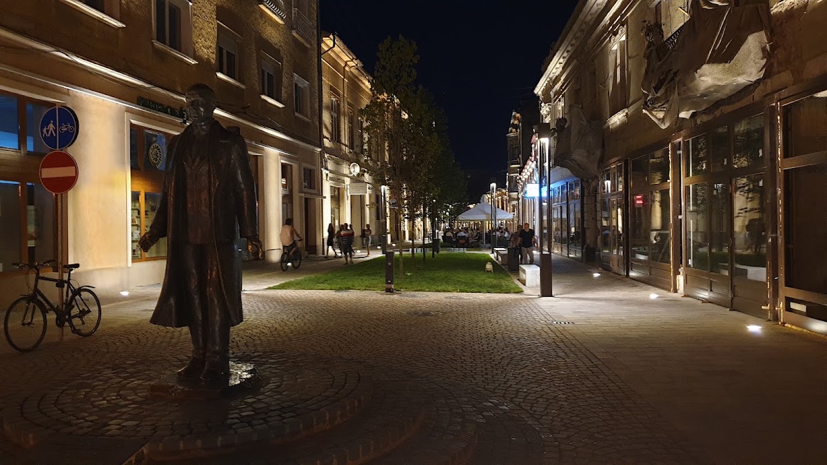 Fotografie de Palatul Rimanóczy