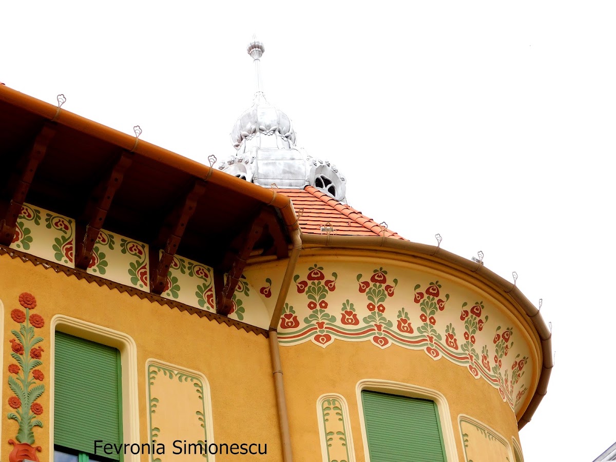 Foto di Palatul Stern