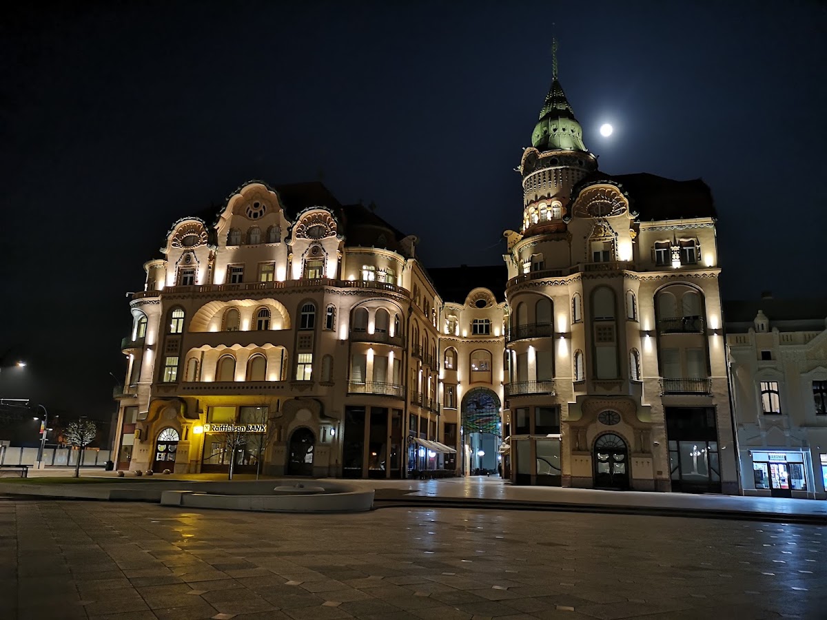 Foto von Pasajul Vulturul Negru