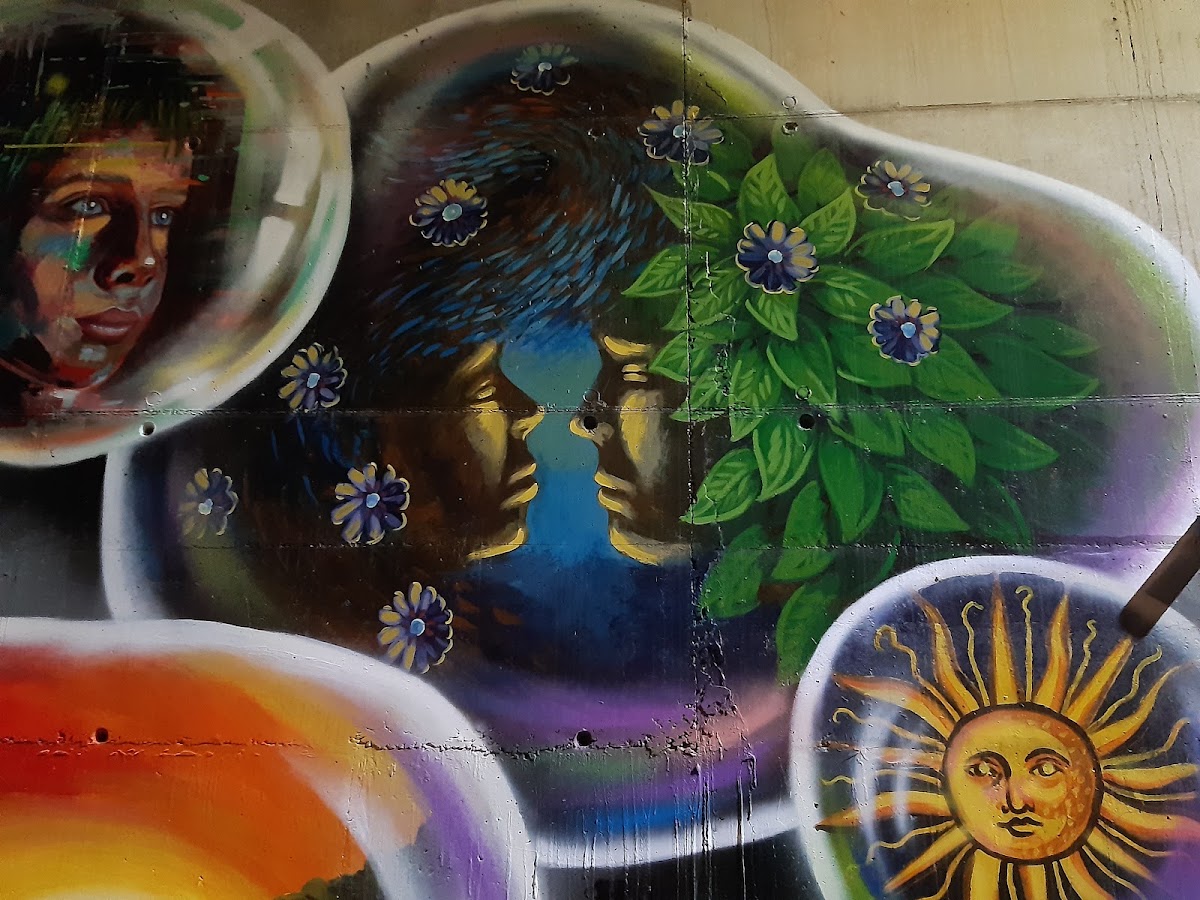 Foto di Dream Big Mural