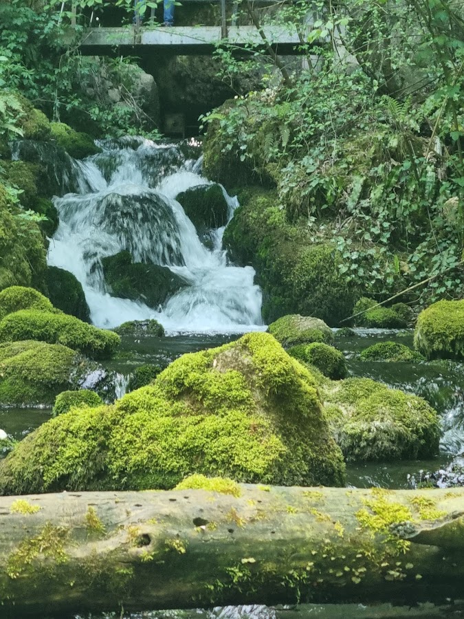 Photo de Cascada Vadu Crișului