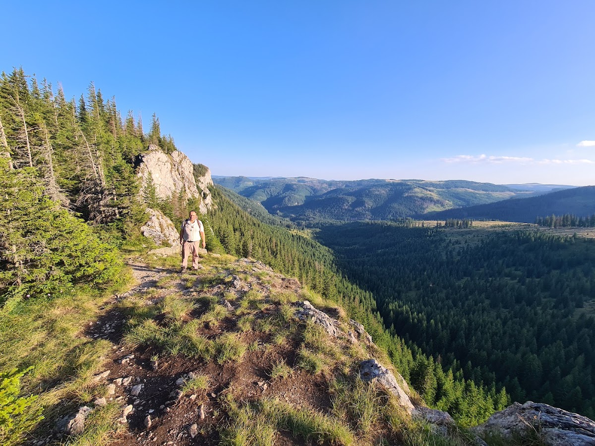 Photo of Parcul Natural Apuseni