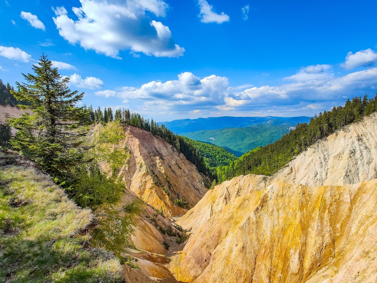 Photo of Parcul Natural Apuseni
