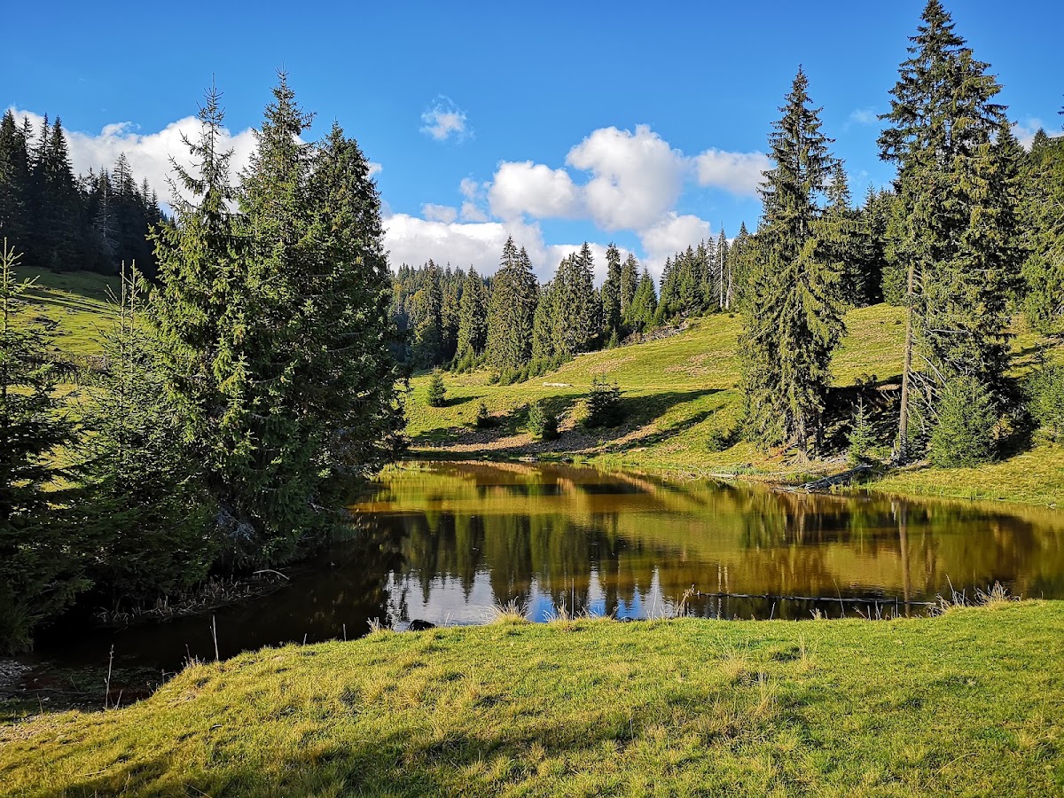 Photo of Parcul Natural Apuseni