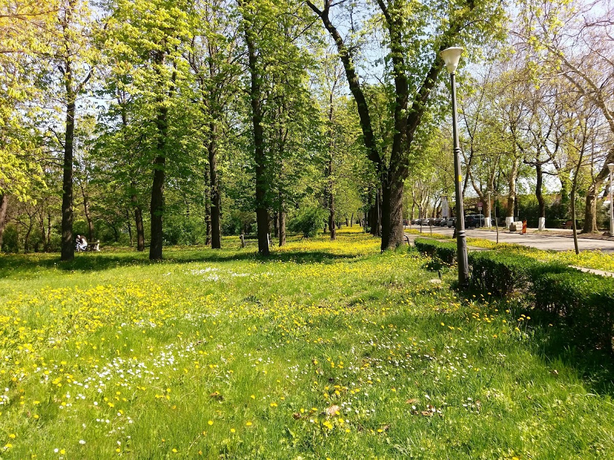 Foto del Parco Ion C. Brătianu