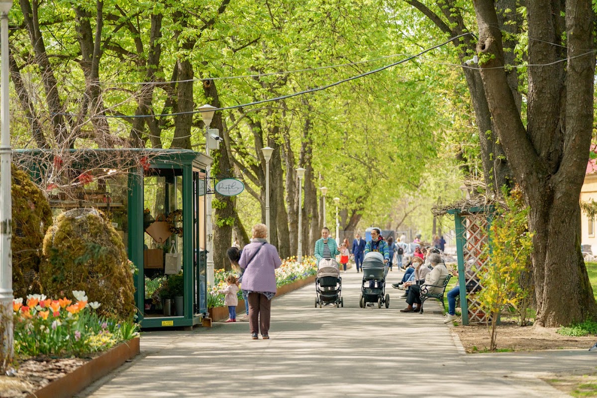Photo of Parcul Libertății - Liberty Park