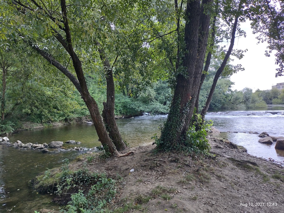 Photo of Parcul Silvaş