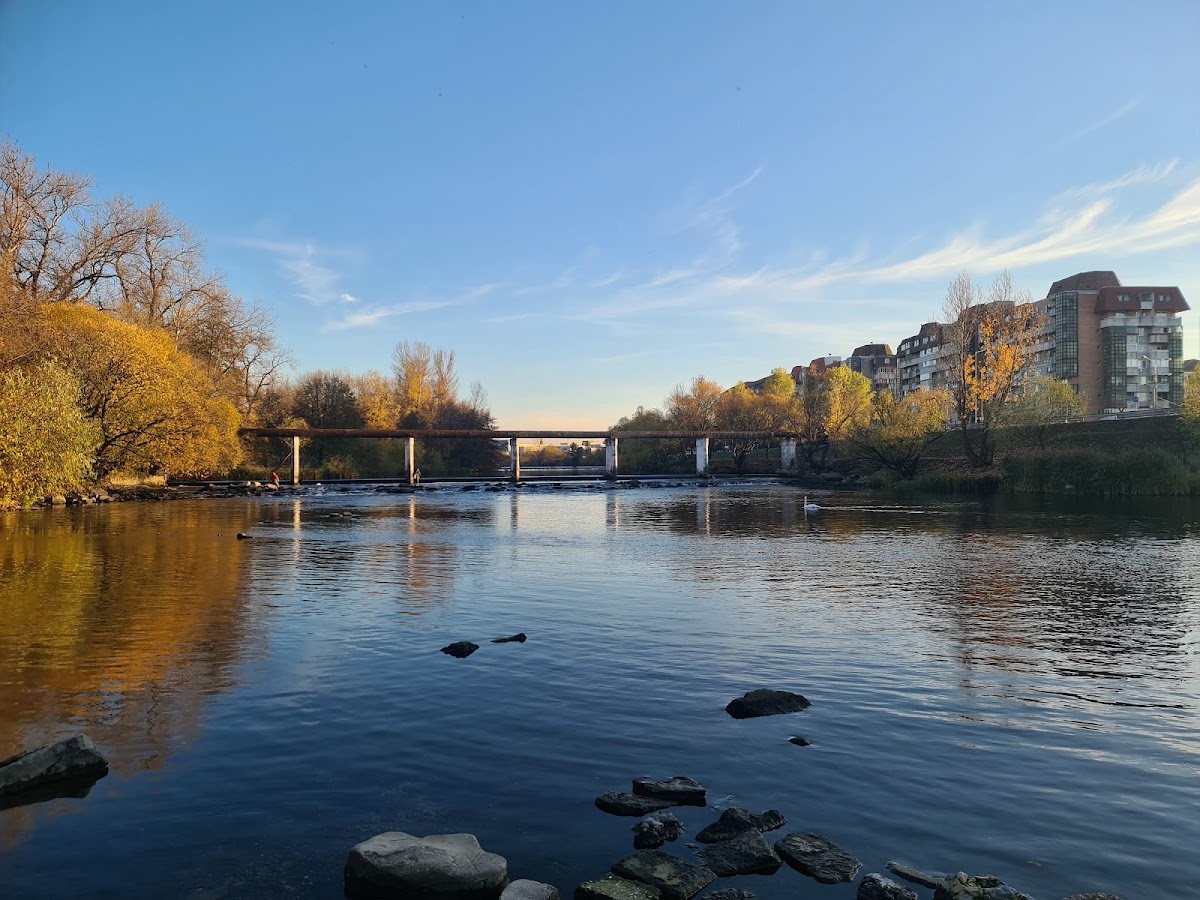 Fotografie de Parcul Silvaş