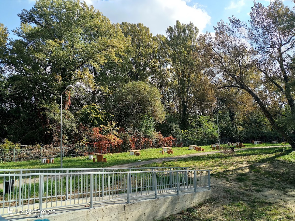 Fotografie de Parcul Silvaş