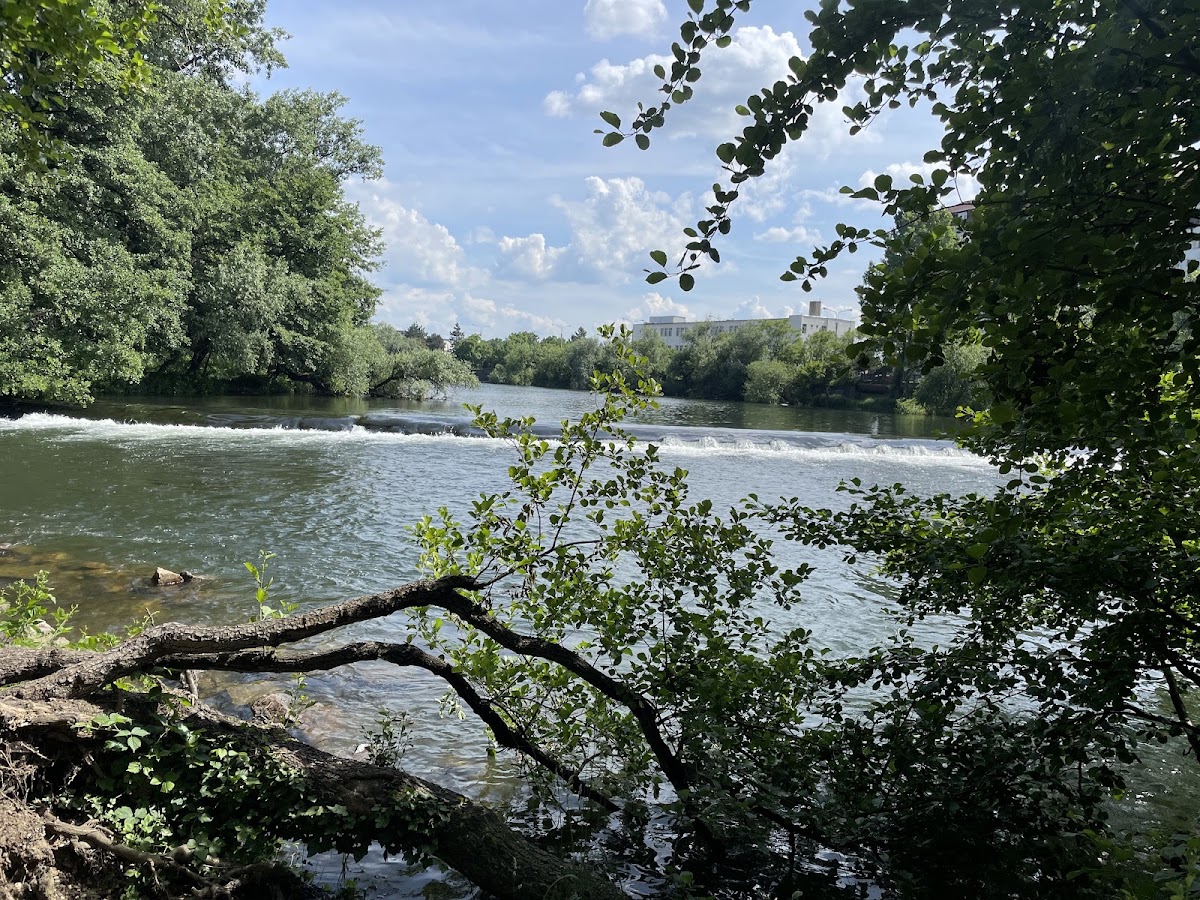 Fotografie de Parcul Silvaş