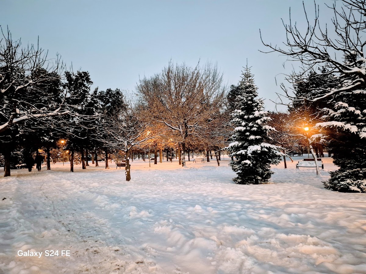 Photo de Parcul Olosig