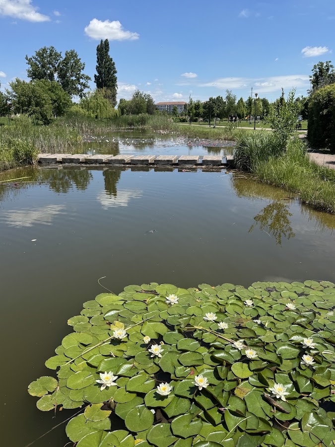 Photo of Parcul Salca