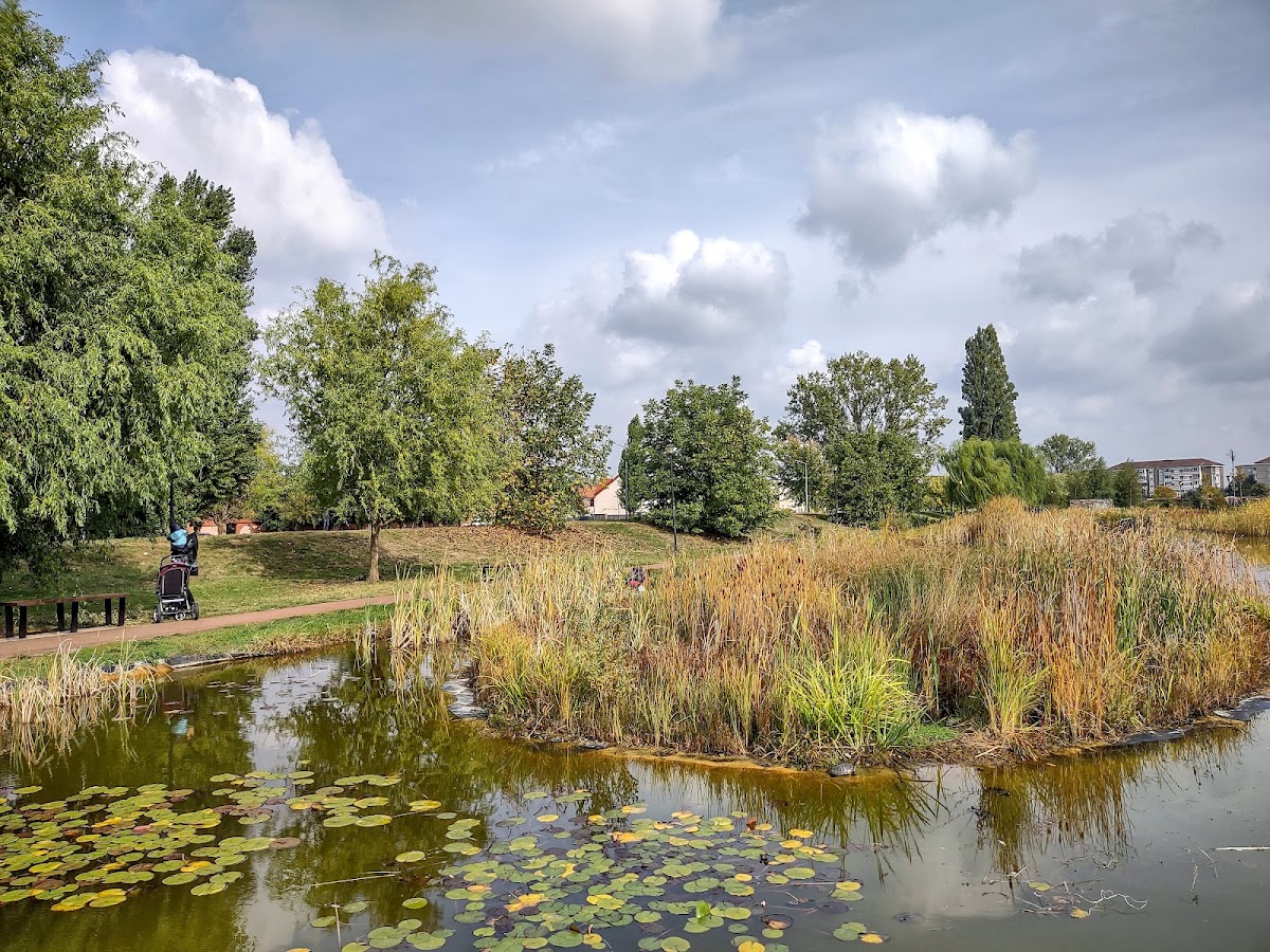 Fotografie de Parcul Salca