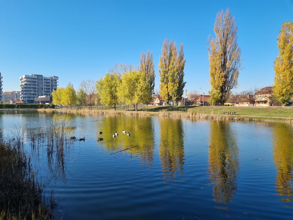 Fotografie de Parcul Salca