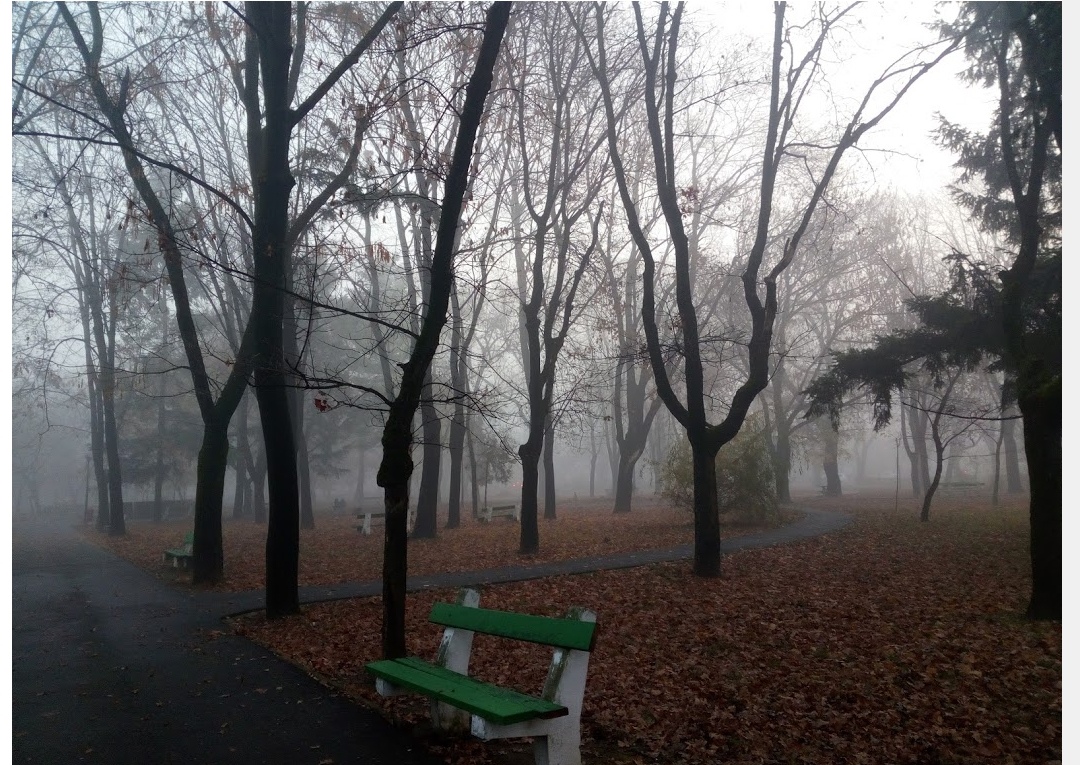 Photo de Parcul 22 Decembrie