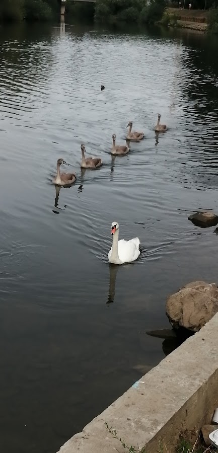 Fotografie de Parc