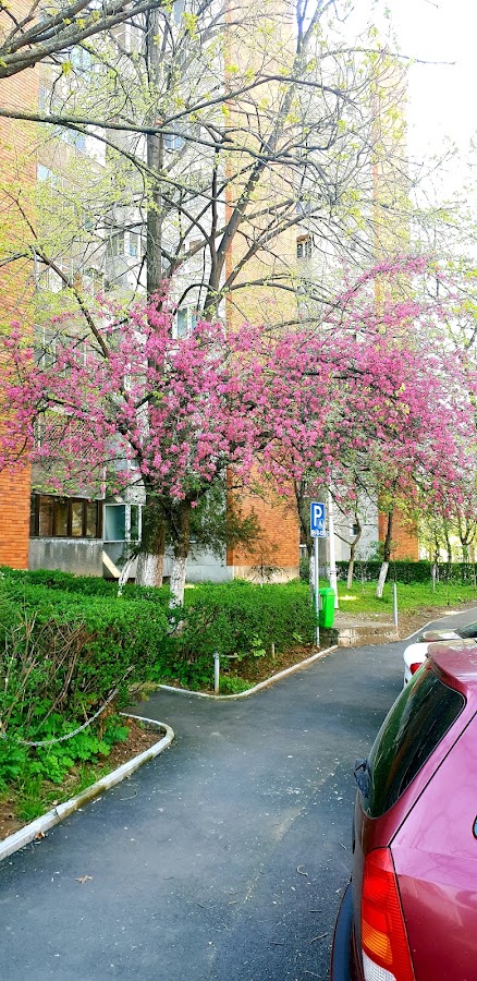 Fotografie de Parc