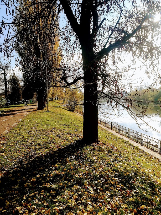 Fotografie de Parc