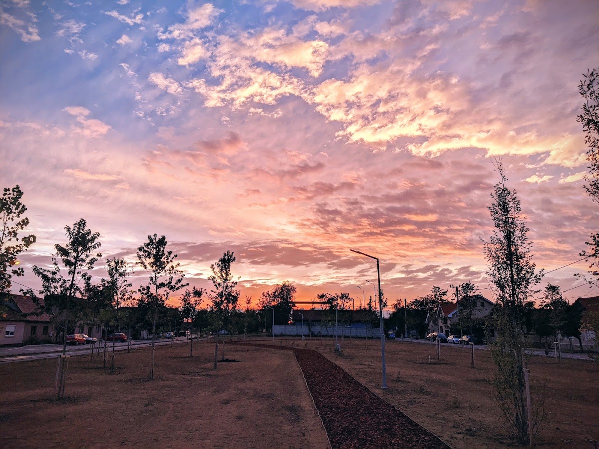 Photo de Parc Barcăului