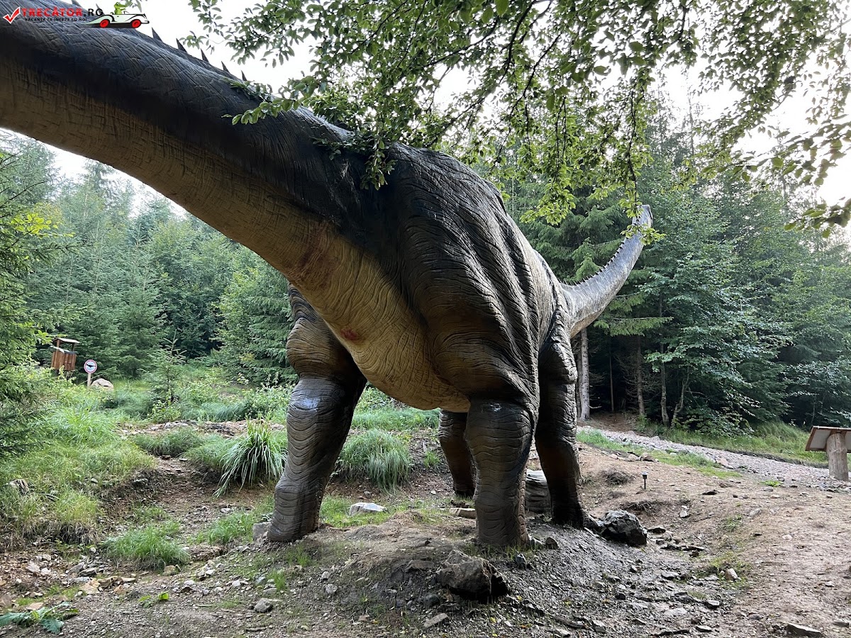 Fotografie a Parcului Dino