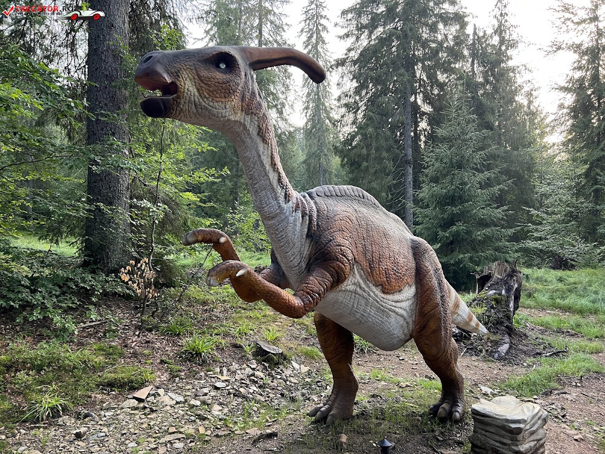 Fotografie de Dino Park