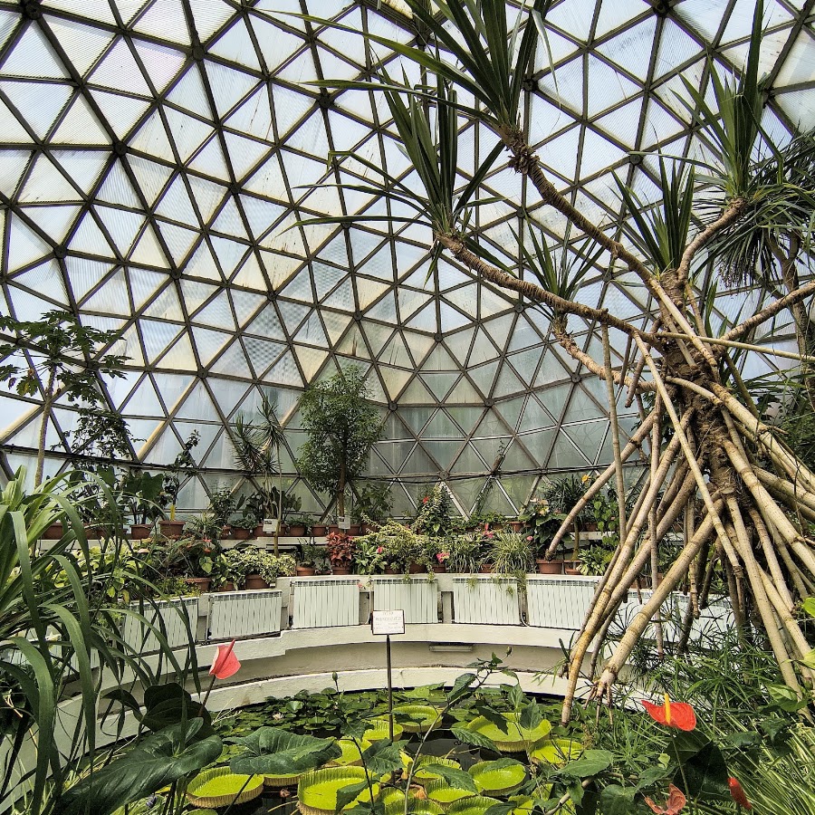 Foto di Grădina Botanică „Vasile Fati” din Jibou