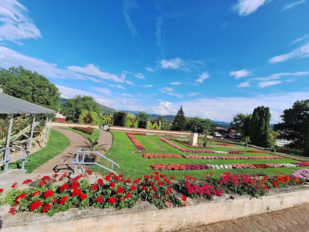 Foto di Grădina Botanică „Vasile Fati” din Jibou