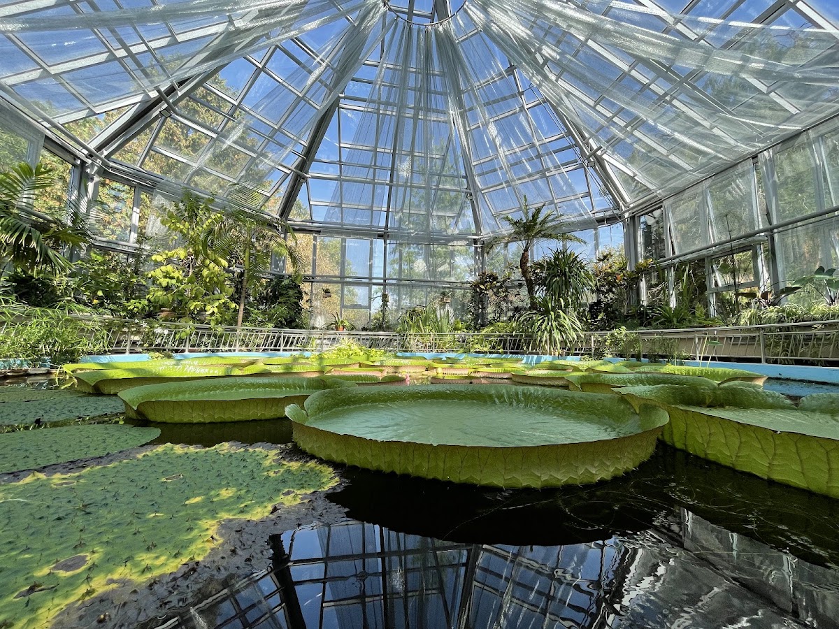Fotografie a Grădinii Botanice Alexandru Borza