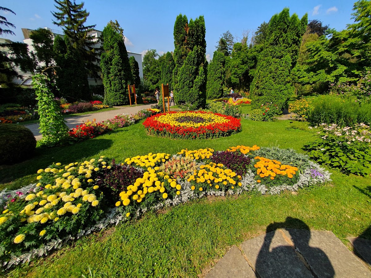Fotografie de Grădina Botanică Alexandru Borza