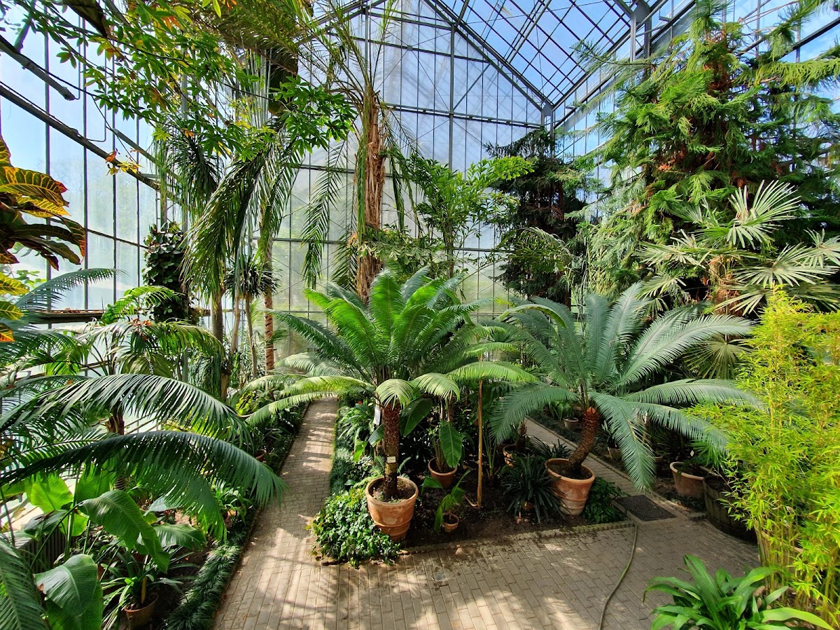 Fotografie de Grădina Botanică Alexandru Borza