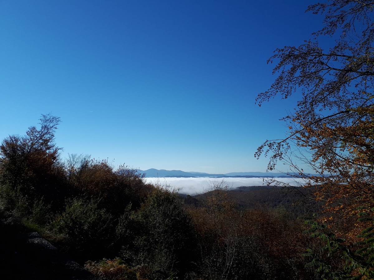Photo of Viewpoint