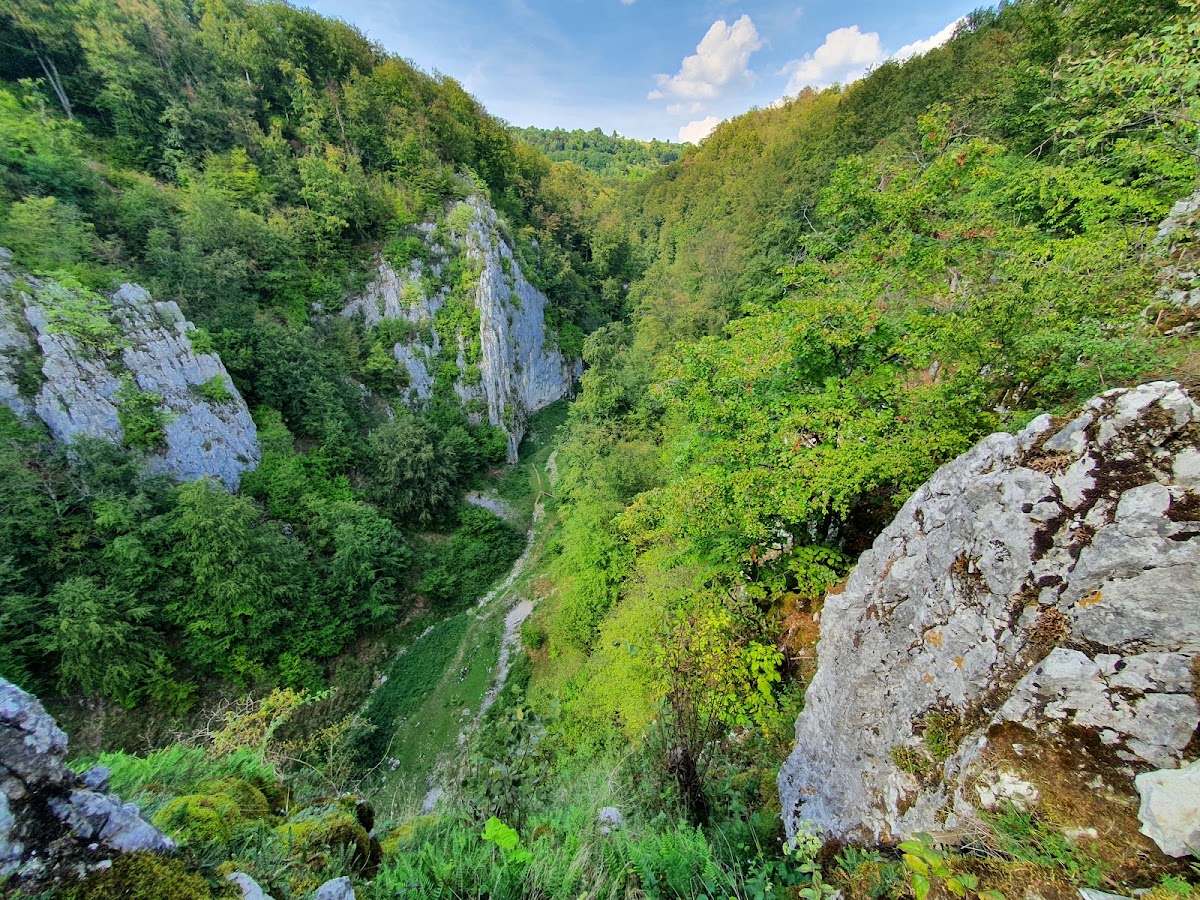 Fotografie cu Cheile Cuților