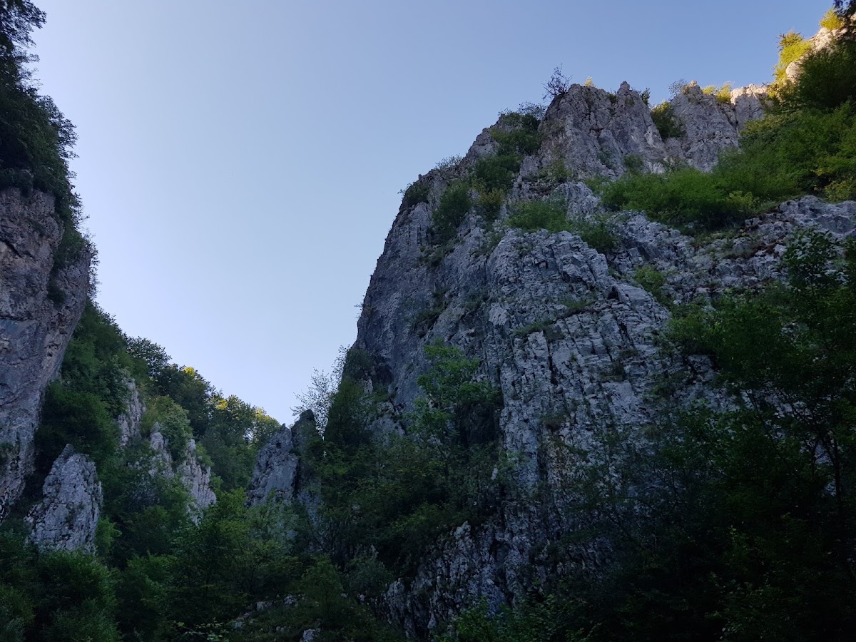 Fotografie de Cheile Cuților