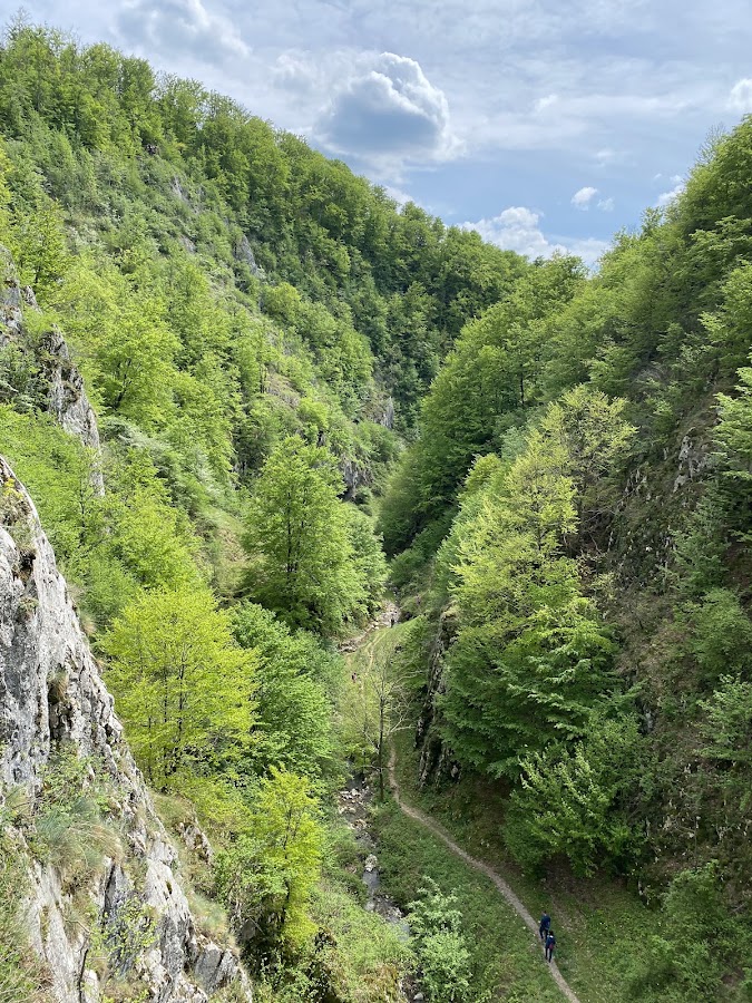 Fotografie de Cheile Cuților