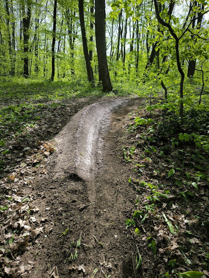 Foto von Butcher’s Broom Trail