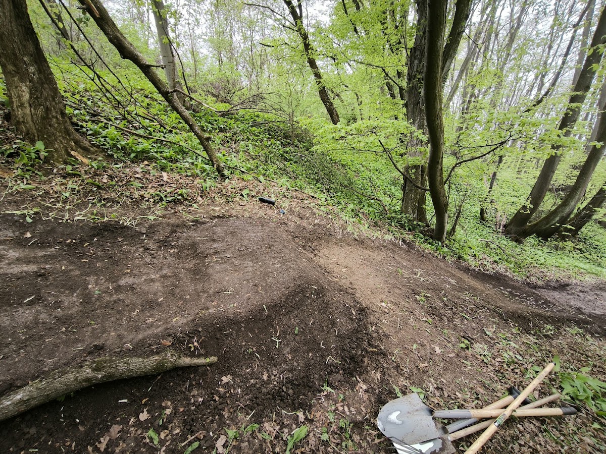 Foto von Butcher’s Broom Trail