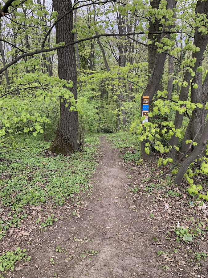 Foto von Butcher’s Broom Trail