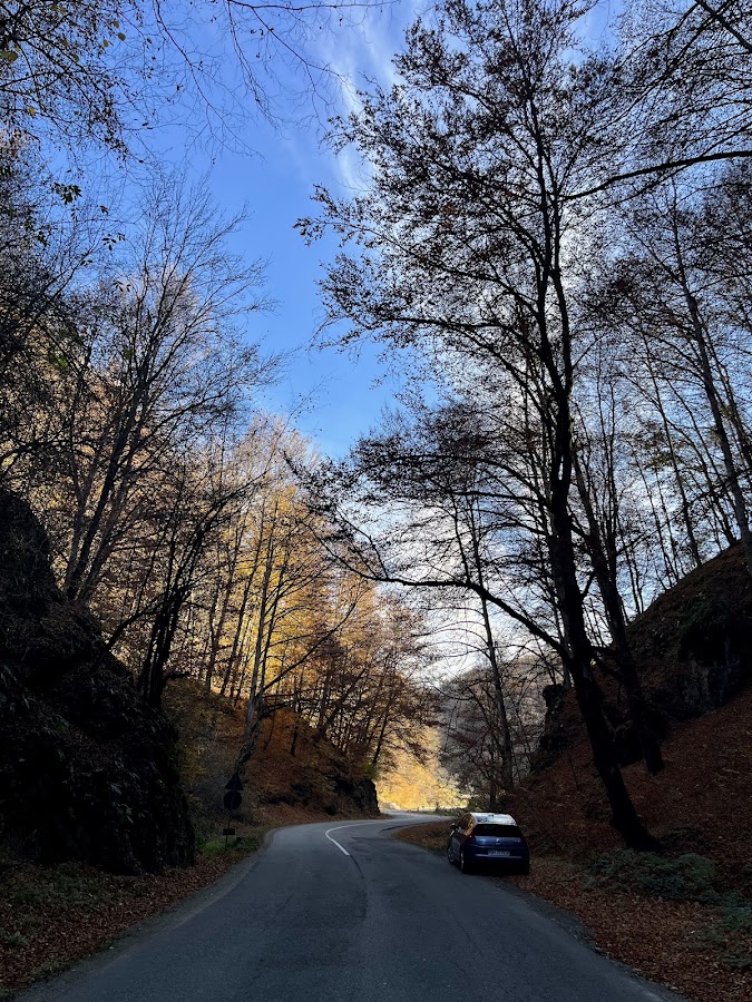 Photo of Luncasprie Bihor