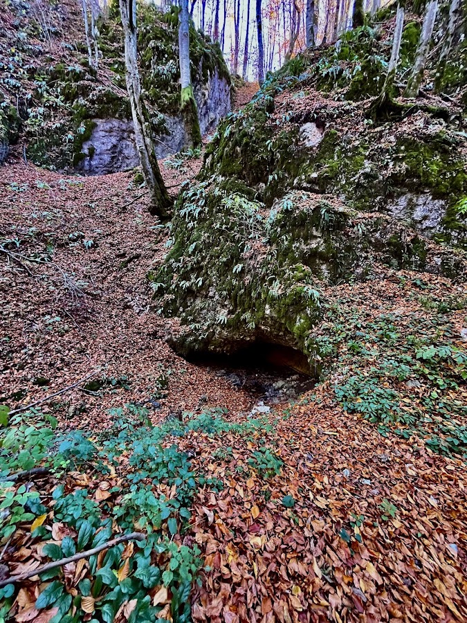 Photo of Luncasprie Bihor