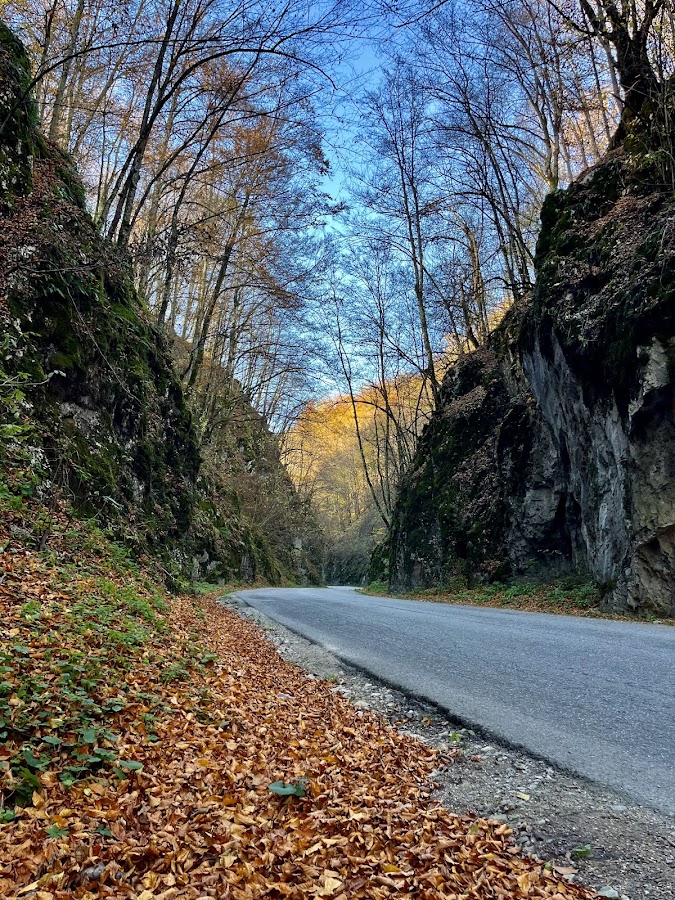 Photo of Luncasprie Bihor