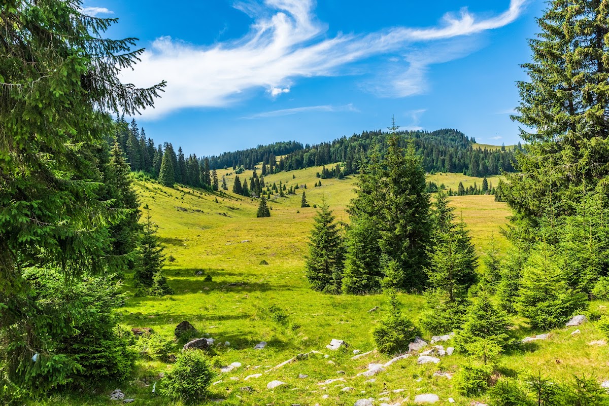 Foto von Pietrele Boghii