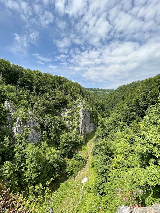 Foto von Rundweg Cheile Cuților