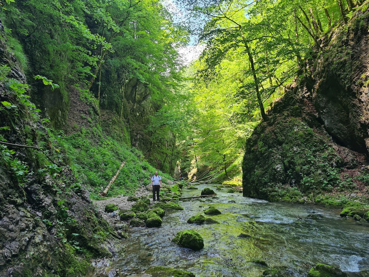 Foto von Cheile Galbenei