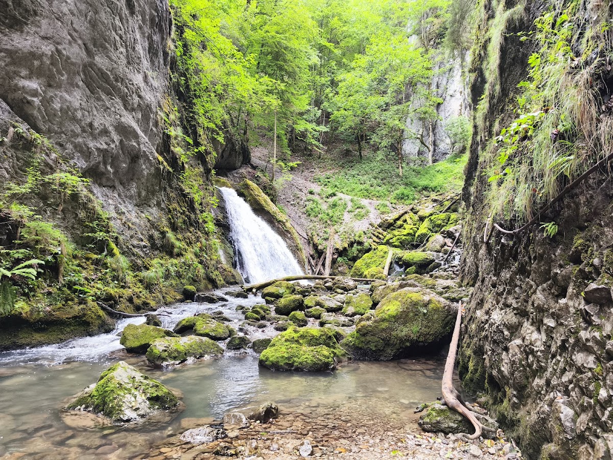 Foto von Cheile Galbenei