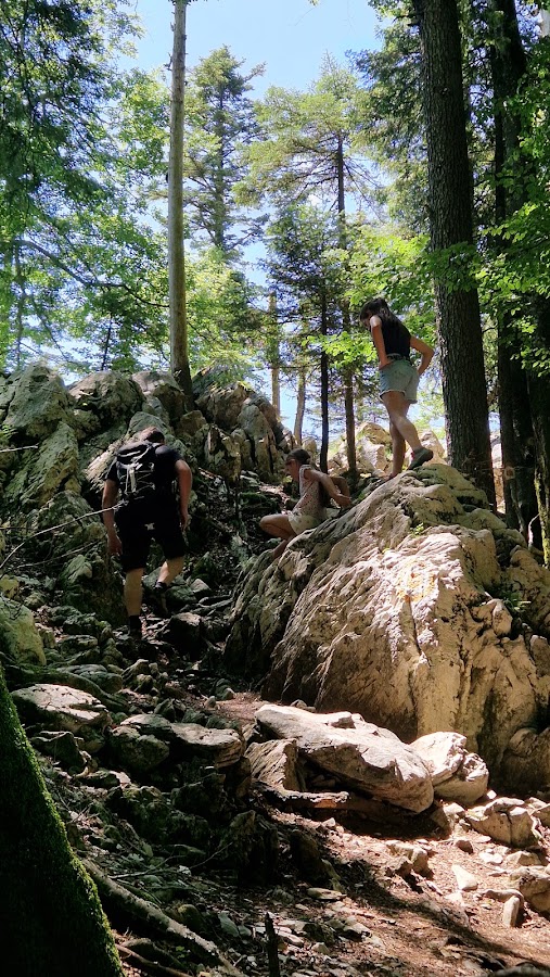 Photo de Pietrele Galbenei