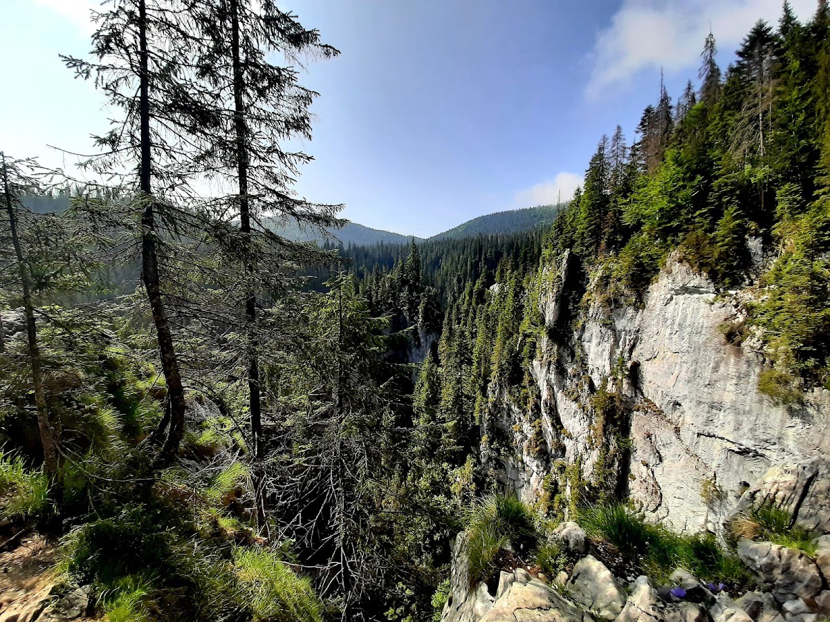 Photo de Pietrele Galbenei