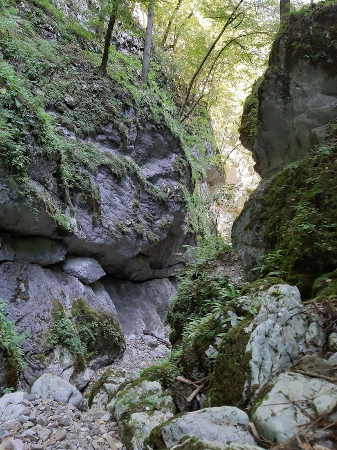 Photo of Cheile Jgheabului