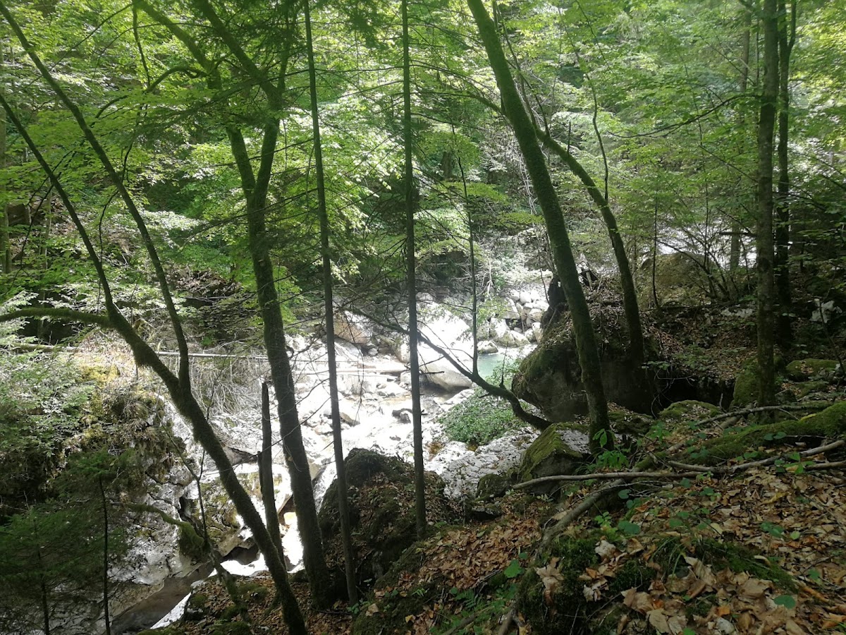 Photo of Cheile Jgheabului